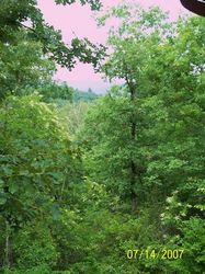 /images/100_3646_187x250.jpg